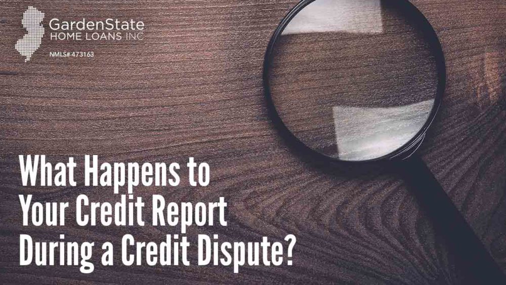 credit report dispute