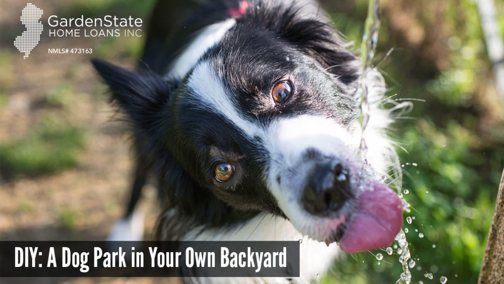 DIY dog park